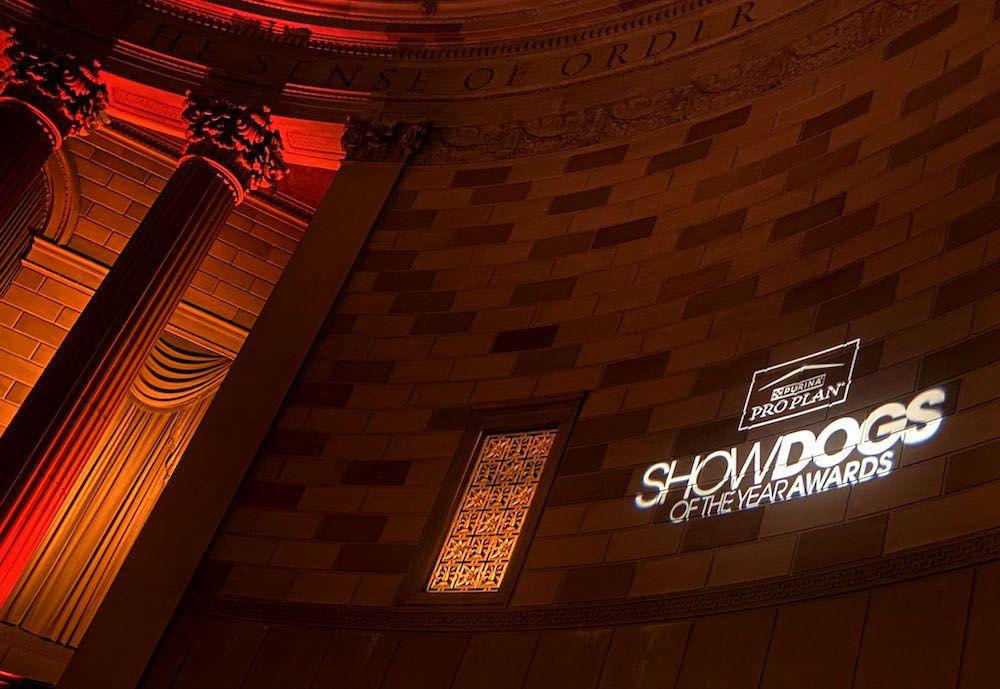 The Gossip Column: May 19, 2023